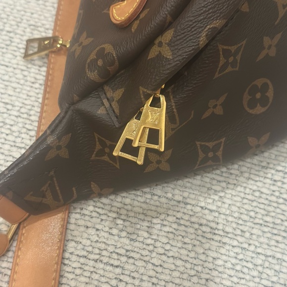 Louis Vuitton Brown Monogram Bum Bag - Picture 4 of 13